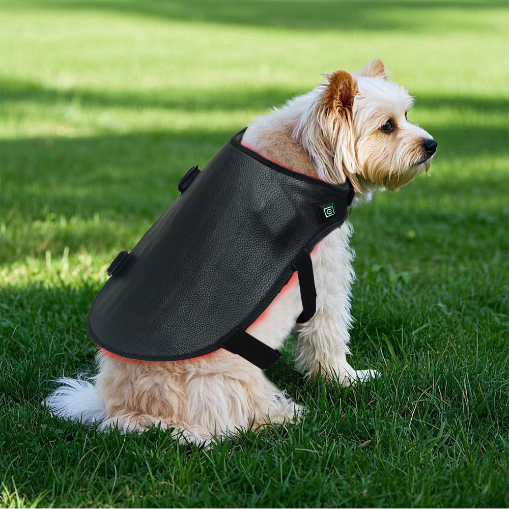 LumaPet™ Red-Light Pet Blanket (Small)
