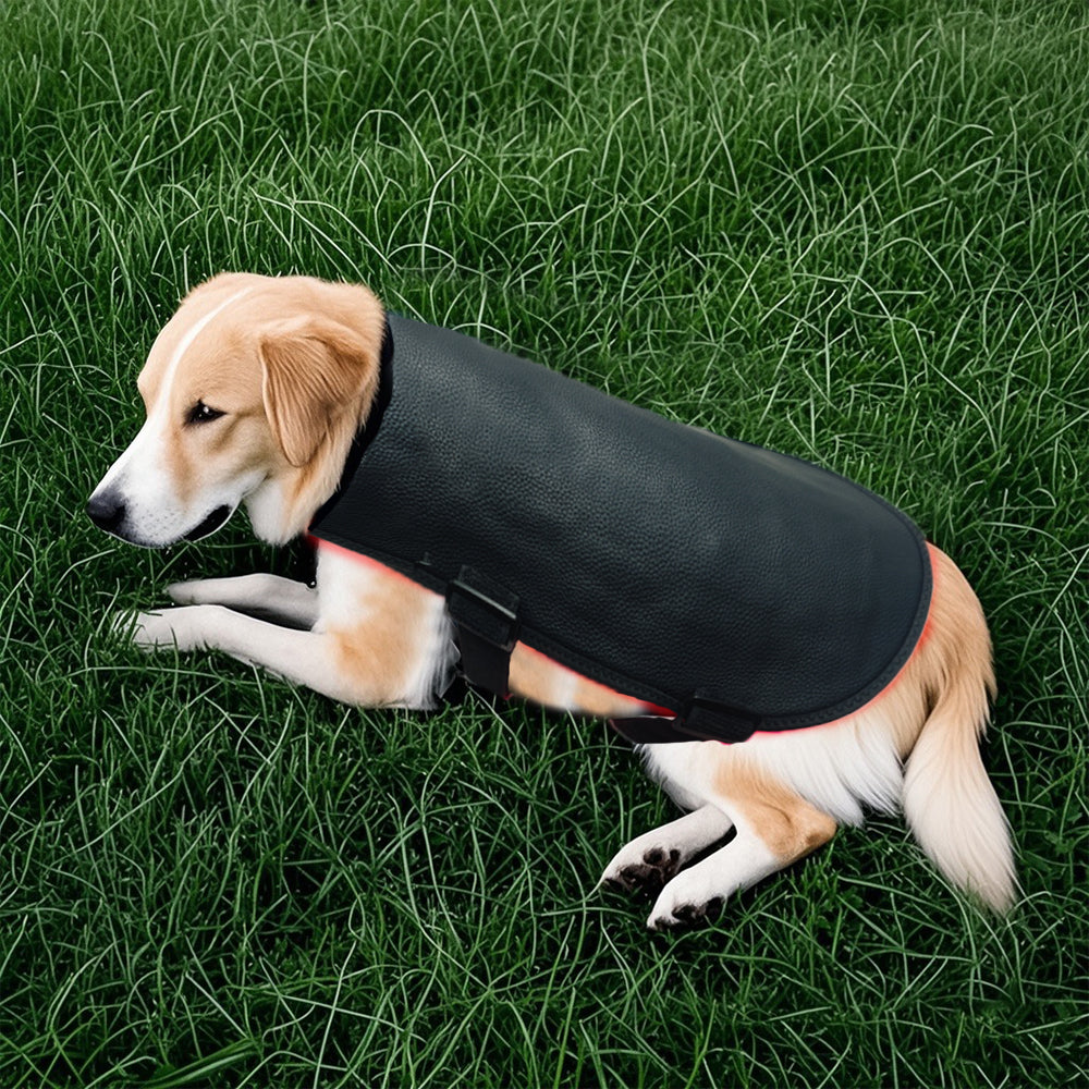 LumaPet™ Red-Light Pet Blanket (Large)