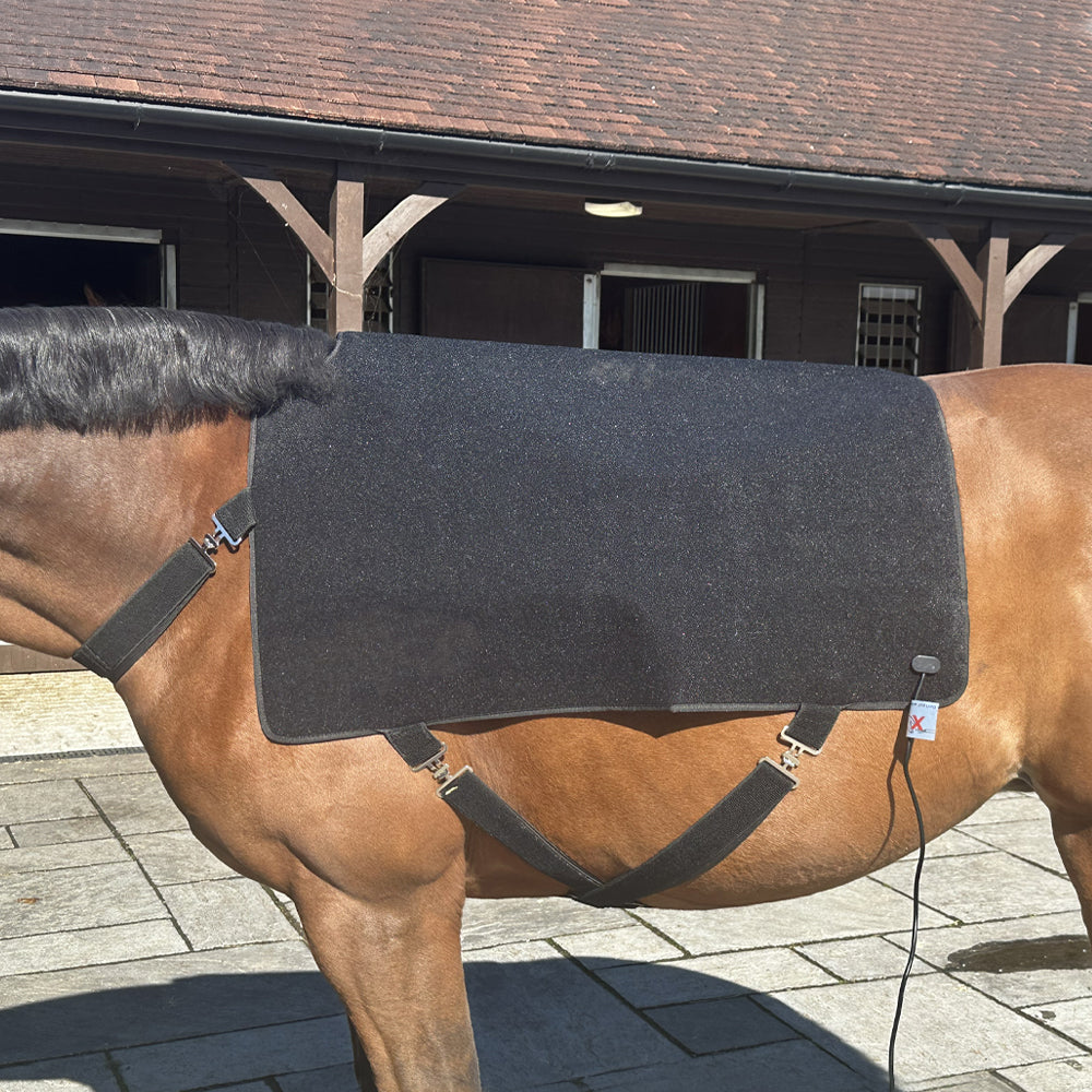 LumaStride™ Horse Blanket - Small