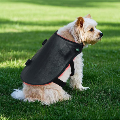 LumaPet™ Red-Light Pet Blanket (Small)